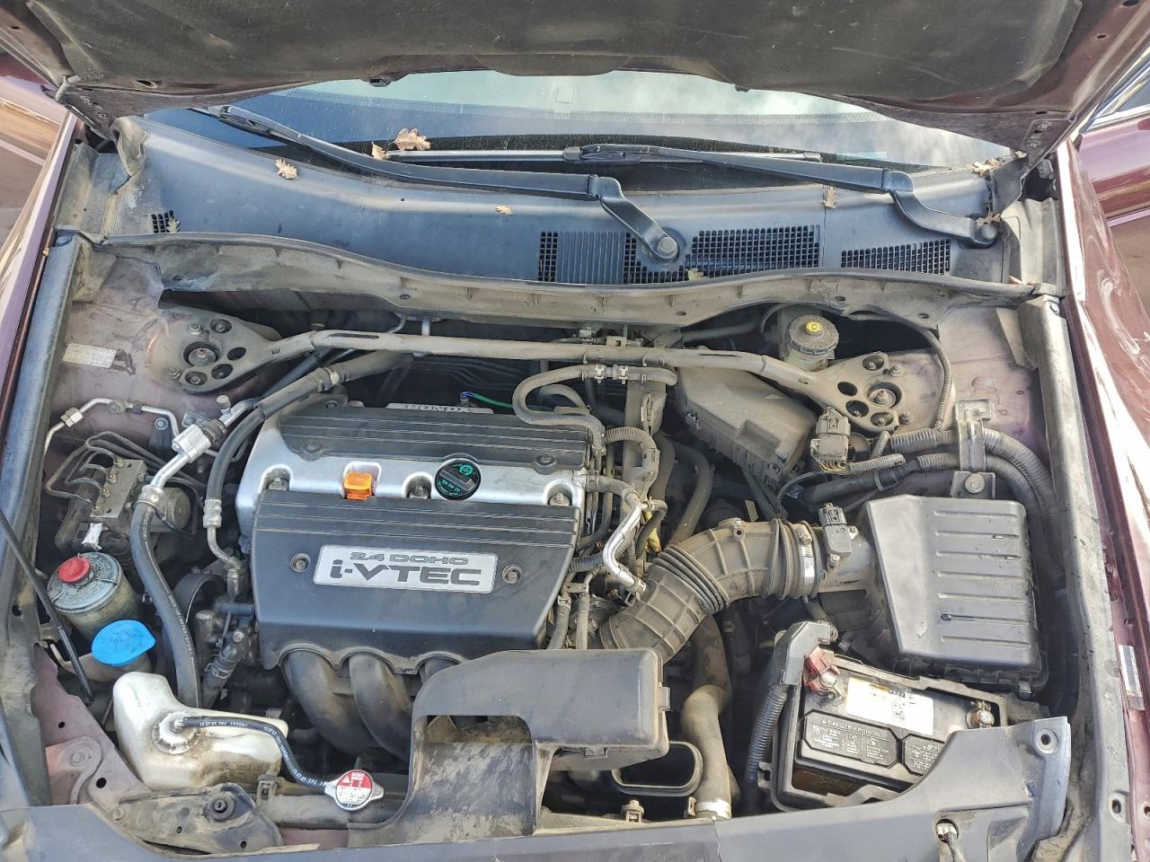 Lot #3304822549 2008 HONDA ACCORD EX