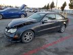Lot #3309726837 2004 MERCEDES-BENZ CLK 320C