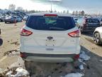 Lot #3304512443 2014 FORD ESCAPE SE