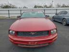 Lot #3303708515 2008 FORD MUSTANG