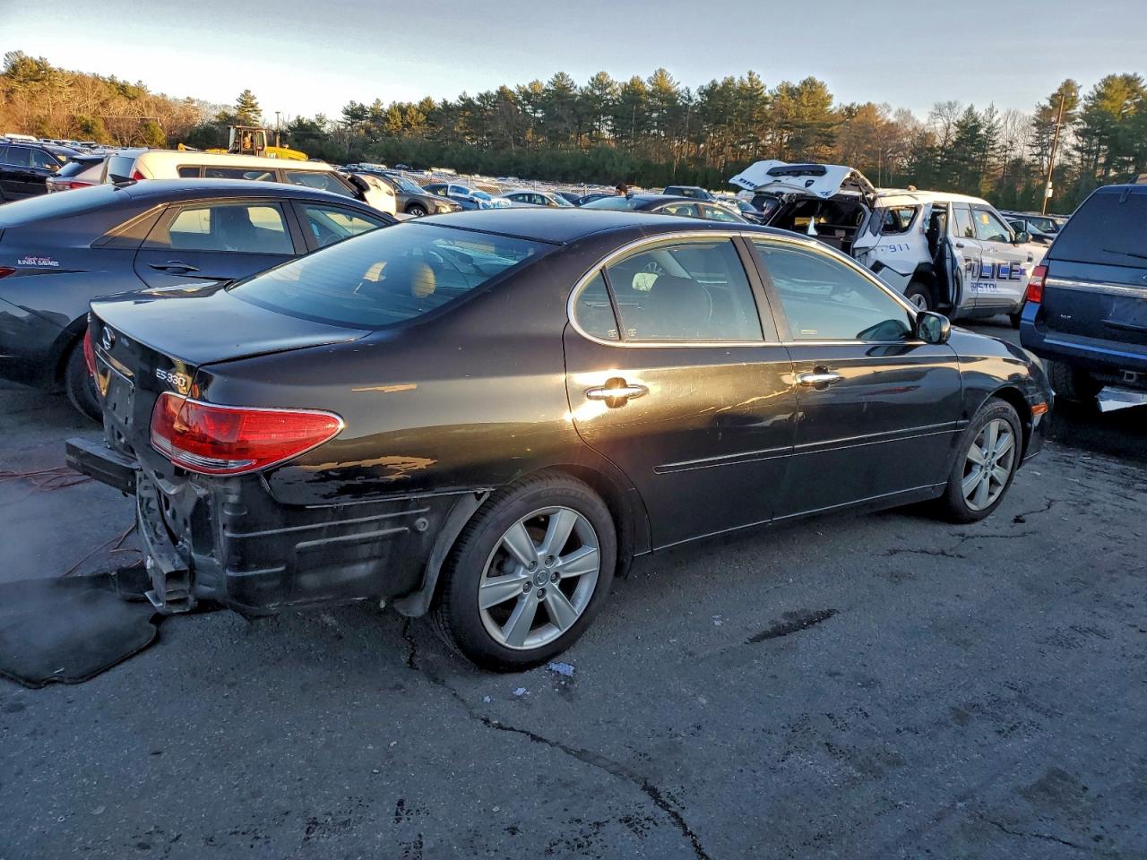 Lot #3316829409 2005 LEXUS ES 330