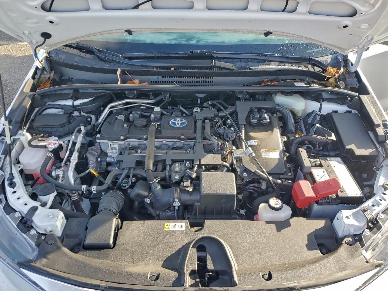 Lot #3315888133 2022 TOYOTA COROLLA LE