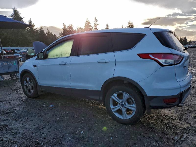 2014 FORD ESCAPE SE #3318906940