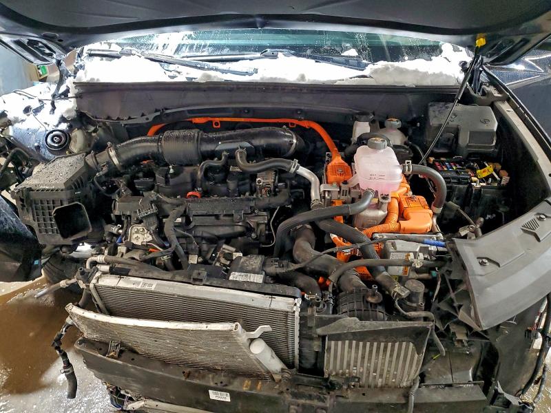 2024 HYUNDAI TUCSON BLU #3302715055