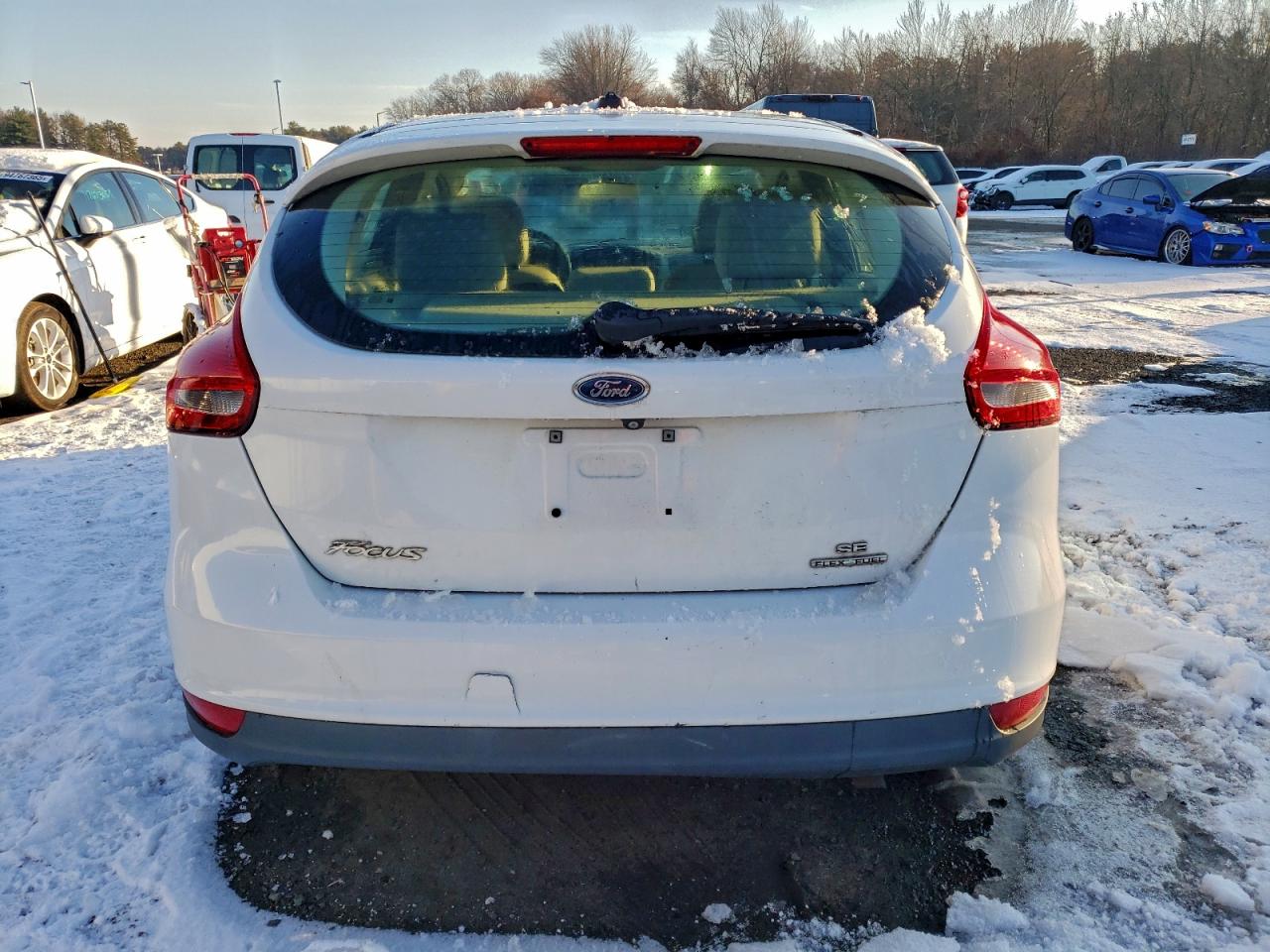 Lot #3308338041 2015 FORD FOCUS SE