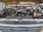 Lot #3311446346 1993 FORD F250