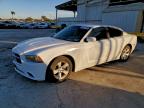 Lot #3319092296 2013 DODGE CHARGER SE