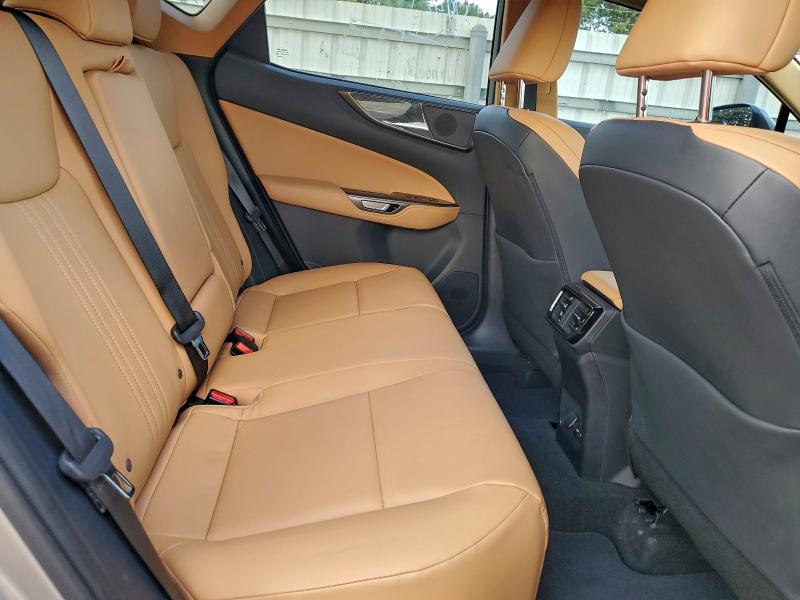 2024 LEXUS NX 250 PRE #3302853928