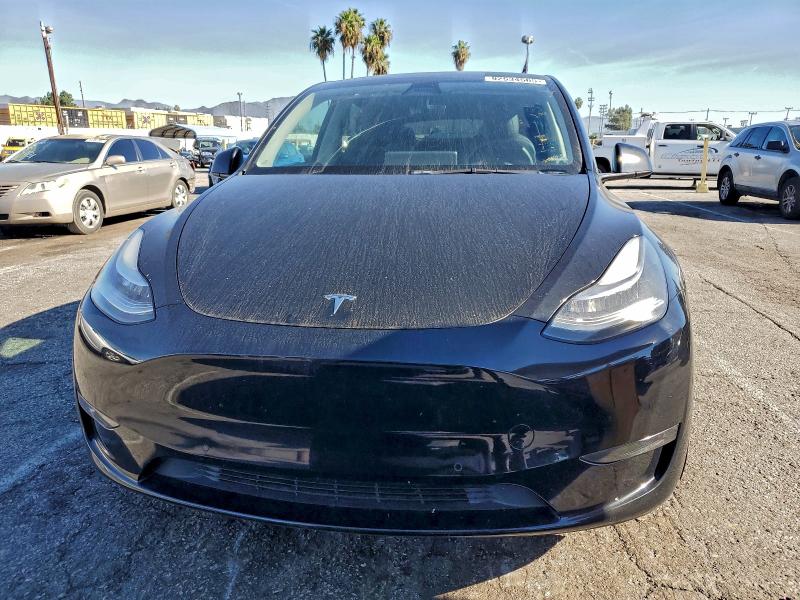 2021 TESLA MODEL Y #3301905419
