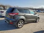 Lot #3312719300 2015 FORD ESCAPE SE