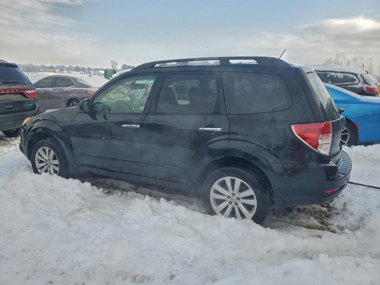 SUBARU FORESTER LIMITED