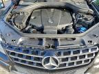 Lot #3304517437 2014 MERCEDES-BENZ ML 350 BLU