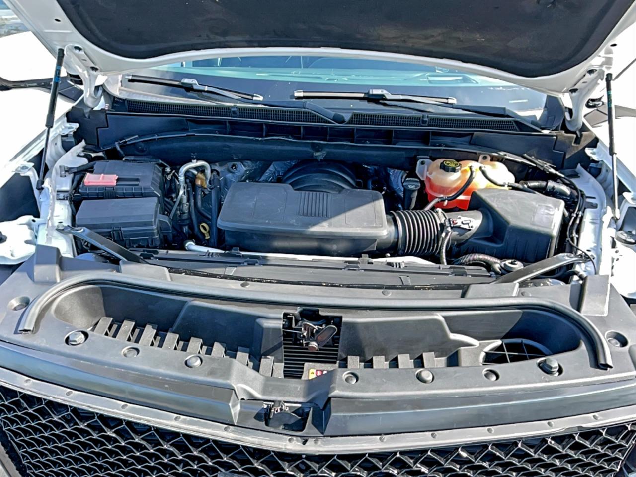 Lot #3312356781 2021 CADILLAC ESCALADE P