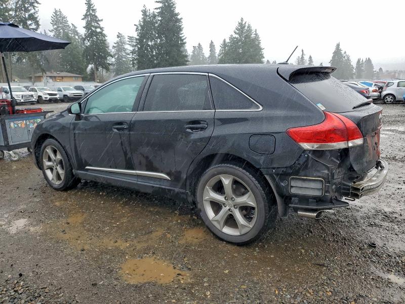 2010 TOYOTA VENZA #3316081291