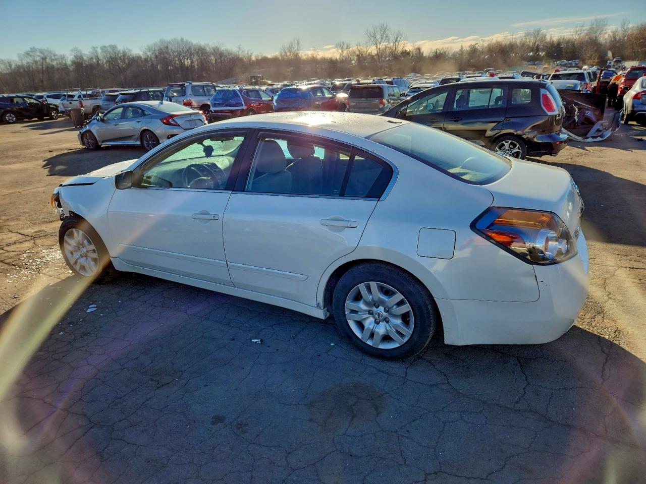 Lot #3316876068 2010 NISSAN ALTIMA BAS