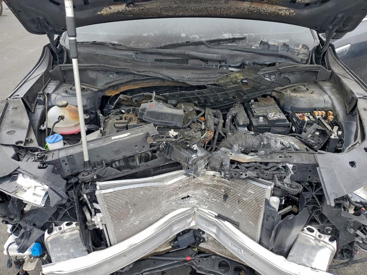 Lot #3311666238 2024 KIA SORENTO S