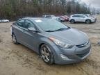 Lot #3305541095 2013 HYUNDAI ELANTRA GL