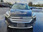 Lot #3317689086 2019 FORD ESCAPE SEL