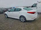 Lot #3311761294 2013 KIA OPTIMA LX