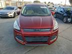 Lot #3304822552 2014 FORD ESCAPE SE