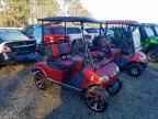 Lot #3304540444 2024 EVOLUTION GOLF CART