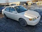 Lot #3303962718 1999 TOYOTA COROLLA VE