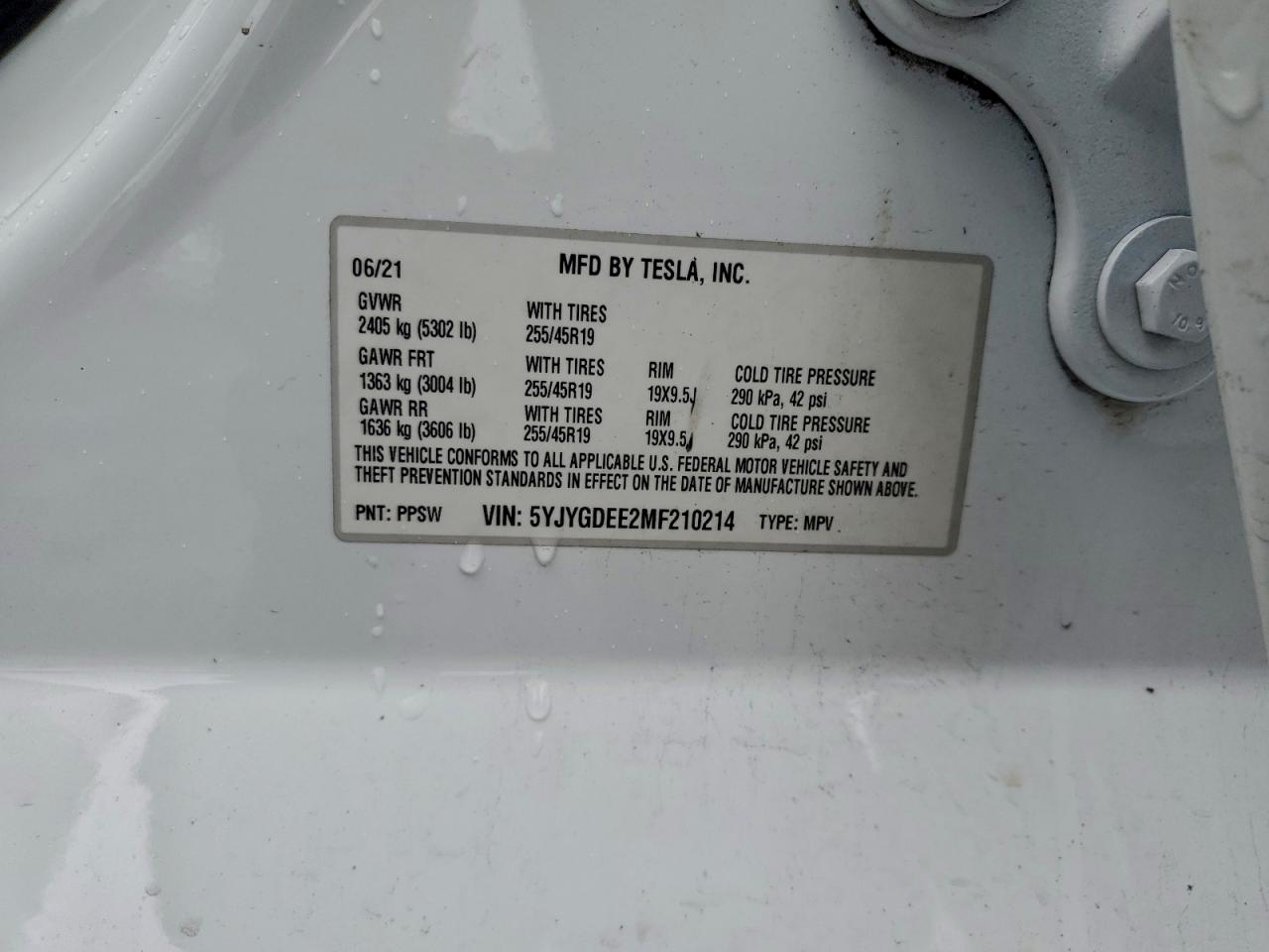 Lot #3311816207 2021 TESLA MODEL Y