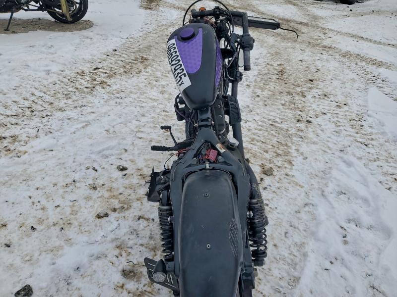 2019 HARLEY-DAVIDSON XL883 N #3317793149