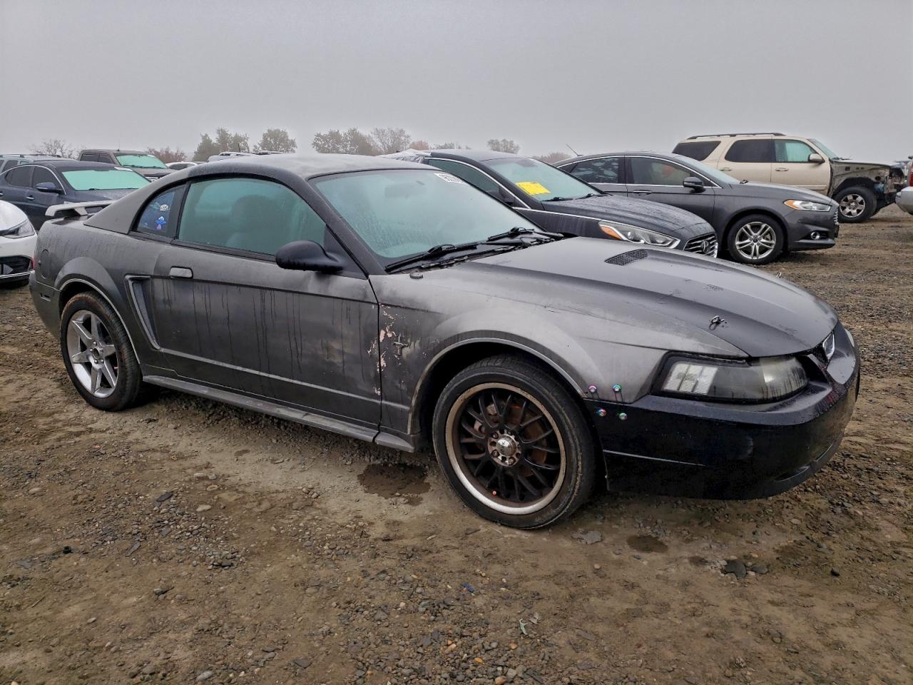 Lot #3315707460 2003 FORD MUSTANG