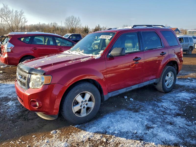 2010 FORD ESCAPE XLT #3308281216