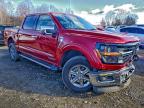 Lot #3318995319 2024 FORD F150 XLT