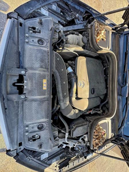 2022 MERCEDES-BENZ GLE 350 #3301766342