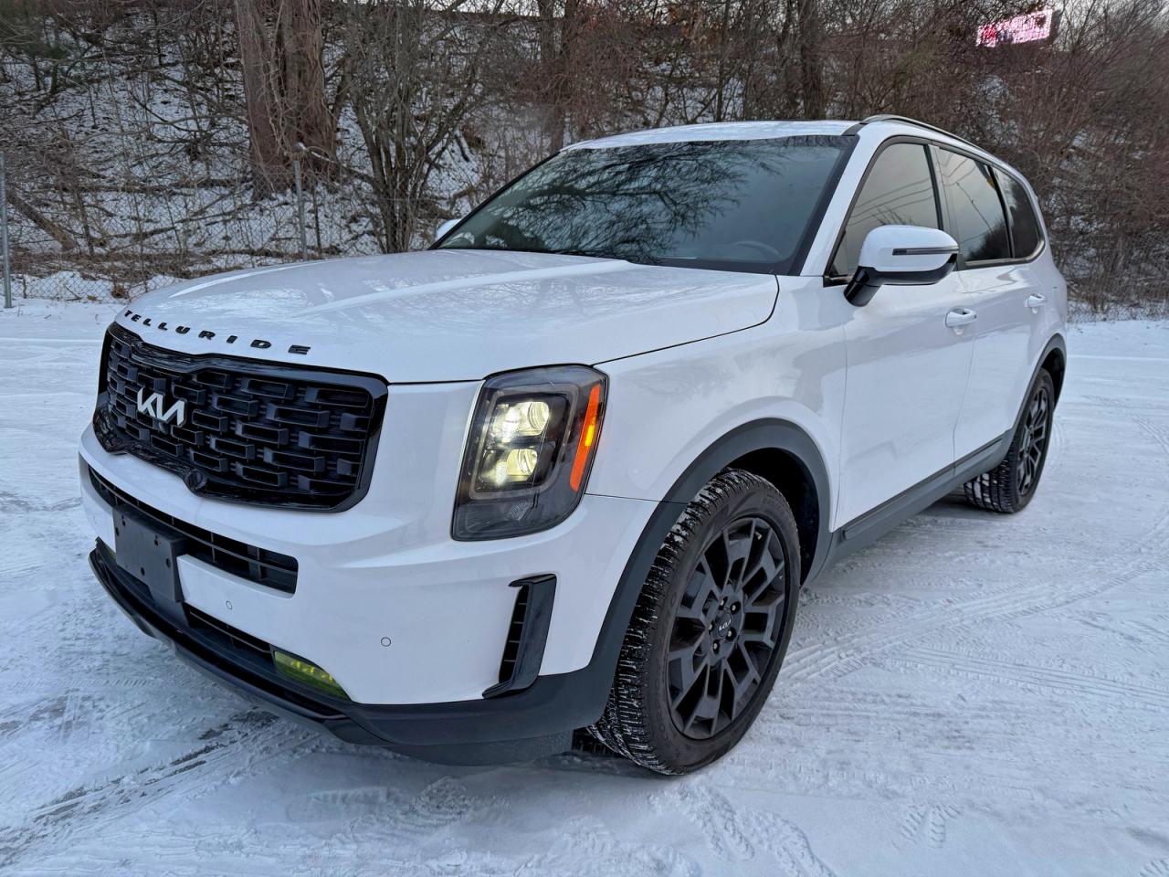 Lot #3310341986 2022 KIA TELLURIDE