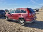 Lot #3304887555 2007 HONDA CR-V EXL