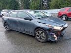 Lot #3315743382 2019 KIA FORTE FE