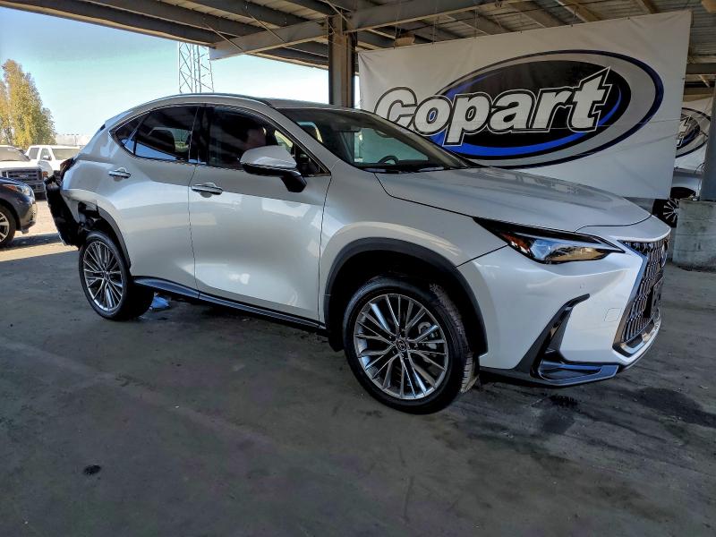 2025 LEXUS NX 350 PRE #3310626825