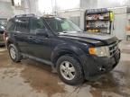 Lot #3305374319 2011 FORD ESCAPE XLT