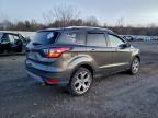 Lot #3303847542 2017 FORD ESCAPE TIT