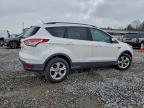 Lot #3305300310 2014 FORD ESCAPE SE