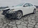 Lot #3308408297 2012 NISSAN MAXIMA S