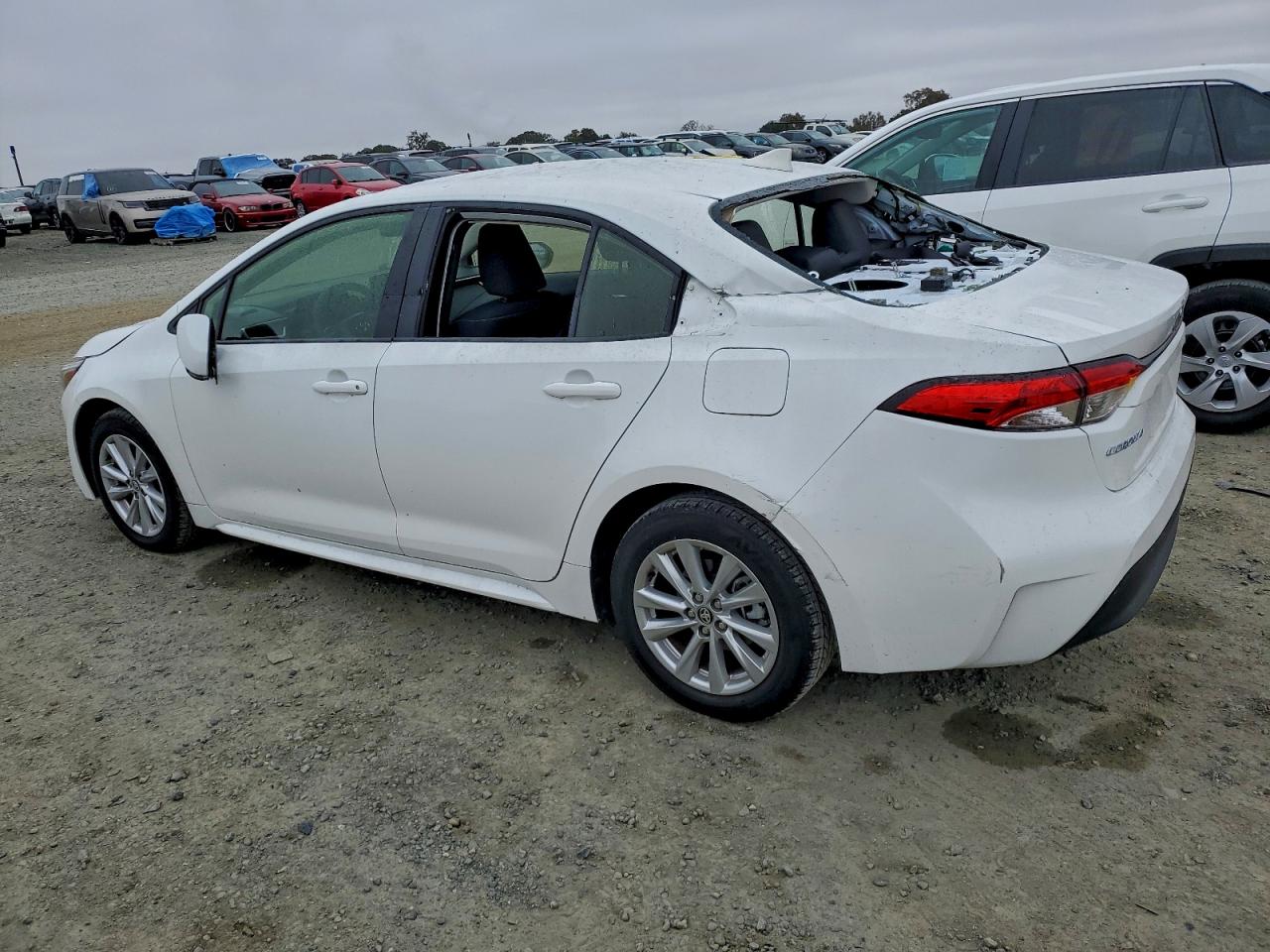 Lot #3315978080 2024 TOYOTA COROLLA LE