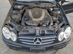 Lot #3311772186 2008 MERCEDES-BENZ CLK 550