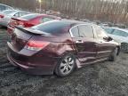 Lot #3306393557 2010 HONDA ACCORD EXL