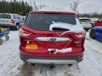 Lot #3309354009 2014 FORD ESCAPE TIT