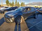 Lot #3315783343 2020 TOYOTA C-HR XLE