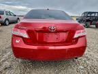 Lot #3303061801 2010 TOYOTA CAMRY BASE