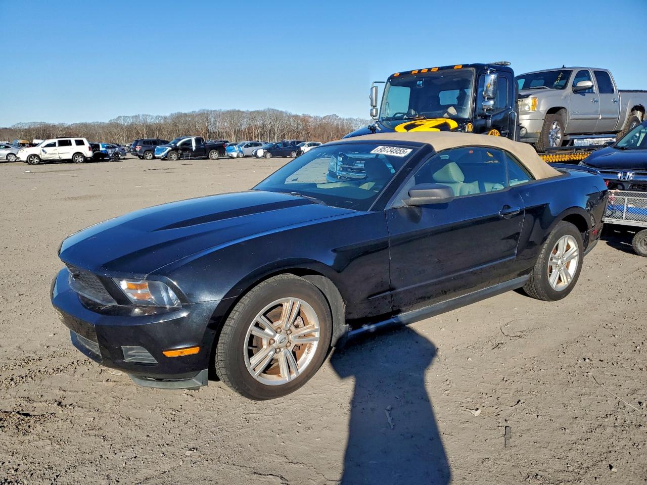 Lot #3305427479 2010 FORD MUSTANG