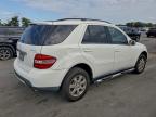 Lot #3310343999 2007 MERCEDES-BENZ ML 350