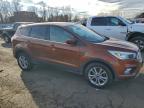 Lot #3305301342 2017 FORD ESCAPE SE