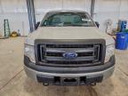 Lot #3317938921 2013 FORD F150